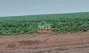 Imagem 2: Fazenda 154 alqueires (745 hectares) Rio Verde - Go