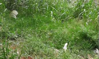 Imagem: Vendo terreno em Mongaguá 10 por 45