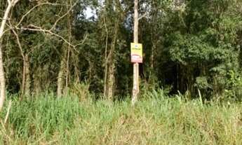 Imagem 7: Área no Roça Grande - Colombo PR