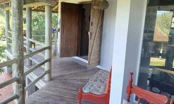 Imagem 7: Chácara a venda com casa, poço artesiano e 2 tanques em Contenda - PR