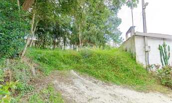 Imagem 5: TERRENO URBANO 2248M SÃO DIMAS - COLOMBO