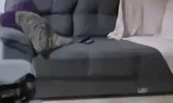 Imagem 5: Casa para venda 2/4 Saubara-BA