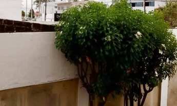 Imagem 5: Valor de Super OPORTUNIDADE! Apartamento 130m2 para VENDA ou ALUGUEL - Praia de MANAIRA