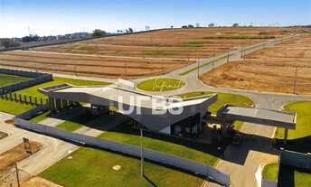 Imagem 4: LOTE VINHAS FLAMBOYANT