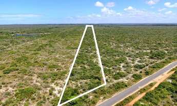 Imagem 3: Terreno à venda, 253700 m² por R$ 1.950.000,00 - Fazenda Bebelândia - Ceará-Mirim/RN