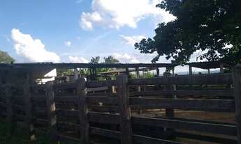 Imagem 3: Fazenda Oliveira minas gerai