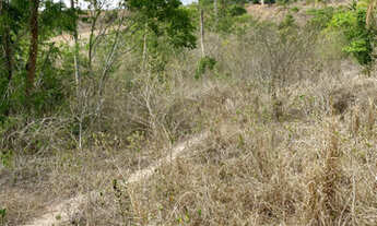 Imagem 7: Oportunidade em Glória do Goitá 4.2 hectare