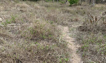 Imagem 5: Oportunidade em Glória do Goitá 4.2 hectare