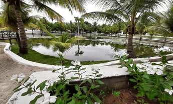 Imagem 6: Terreno à venda, 230 m² por R$ 72.000,00 - Centro - Macaíba/RN