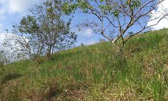 Imagem 3: Chacara em fundão 900m2 45 mil negocio parcelo troco agua e luz
