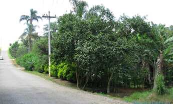 Imagem 7: AREA - LARANJA AZEDA - SP