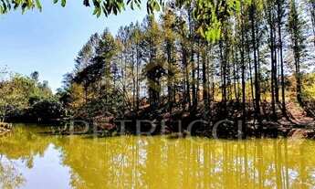 Imagem 5: Terreno - Ivoturucaia - Jundiaí