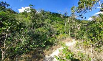 Imagem 4: Oportunidade. Terreno 32.000m² com Cachoeira Privativa e Piscina Natural