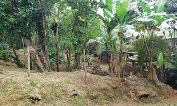 Imagem 3: Toque Toque Grande - terreno perto da mata atlântica. estuda permuta