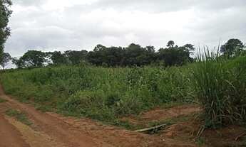 Imagem 4: Sitio em cassia m.g 2 alqueires 450.000.00