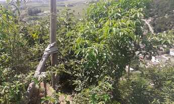 Imagem: Vendo lotes 11×25 Escriturado por R$30.000,00