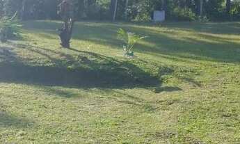 Imagem 2: Chácara embu guacu