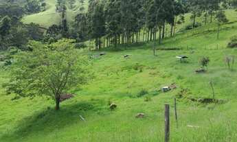 Imagem 5: Excelente TERRAS em Gonçalves- MG - RURAL - Região Turística