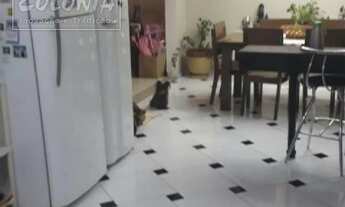 Imagem 4: Santo André - Casa Padrão - Vila Metalúrgica