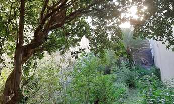 Imagem 2: Porto Alegre - Terreno Padrão - Rio Branco