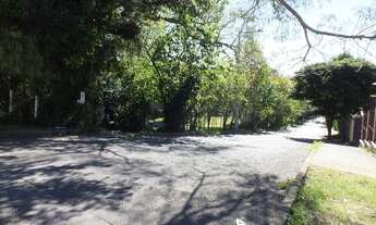 Imagem 4: Terreno em Tristeza