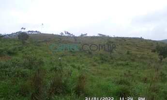 Imagem 6: EXCELENTE FAZENDA DE 142 HA COM MUITA QUALIDADE NA REGIÃO DE BARBACENA MG