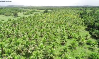 Imagem 2: Fazenda para Locação em Camaçari, Monte Gordo