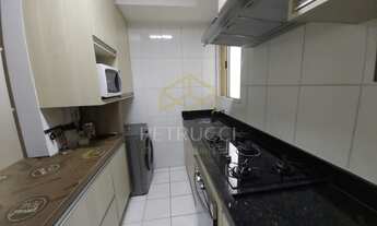 Imagem 4: Apartamento - Parque Fazendinha - Campinas