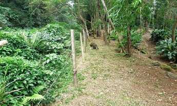 Imagem 4: Toque Toque Grande - terreno perto da mata atlântica. estuda permuta