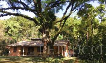 Imagem 2: Sítio - Morro das Pedras - Valinhos