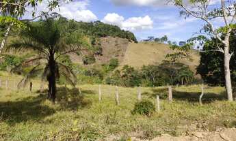 Imagem 5: Fazenda/Sítio/Chácara 10.000m2, 01 Hectare, Muita Água, Luz, 7Km Chão, Morro do Pilar MG