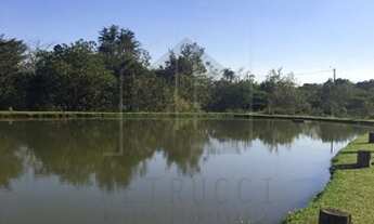 Imagem: Terreno - Tuiuti - Tuiuti