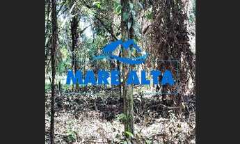 Imagem 2: Terreno a venda Ubatumirim