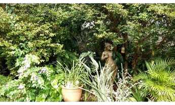 Imagem 3: Santo André - Galpão/Depósito/Armazém - Campestre