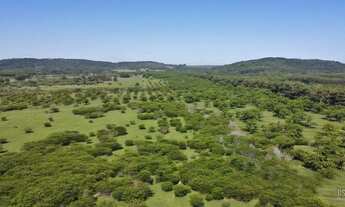 Imagem 3: Lote/terreno à venda em Viamão