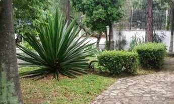 Imagem 7: CASA TÉRREA - ALTO DA LAPA - SP