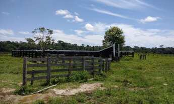 Imagem 7: Vendo 4 lotes em Rorainopolis