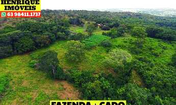 Imagem 6: Fazenda 216 hectares em Luzimangues