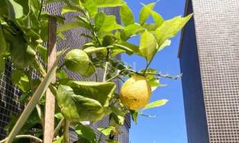 Imagem 7: Torres - Apartamento Padrão - Centro