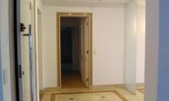 Imagem 6: SãO PAULO - Padrão - Moema