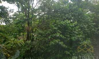 Imagem 4: Sala - Swiss Park - Campinas