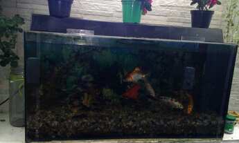 Imagem 5: SOBRADO à venda, 3 quartos, 2 vagas, Vila Monumento - São Paulo/SP