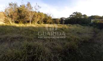 Imagem 7: Terreno para comprar no bairro Lageado - Porto Alegre
