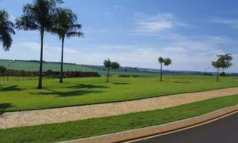 Imagem 13: Casa ou Terreno à venda no Bairro Olhos D Água - Ribeirão Preto/SP