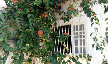 Imagem 3: Apartamento de 130 metros quadrados e área descoberta, no bairro Laranjeiras ,com 3 quarto