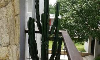 Imagem 6: APARTAMENTO - ALTO DA LAPA - SP