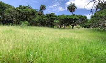 Imagem 5: Fazenda de 122 ha, nascente de água cristalina (Temos varias opções). Oportunidade na Ser