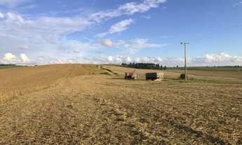 Imagem 3: Porto Amazonas - 389 Hectares - Plantando 90 Alqueires - Com Sede Completa