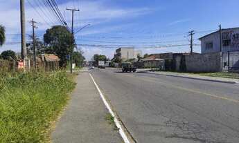 Imagem 7: ÁREA EM PINHAIS