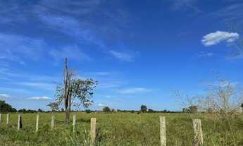 Imagem 4: VENDO EXCELENTE FAZENDA NA REGIÃO DE JUSSARA GO